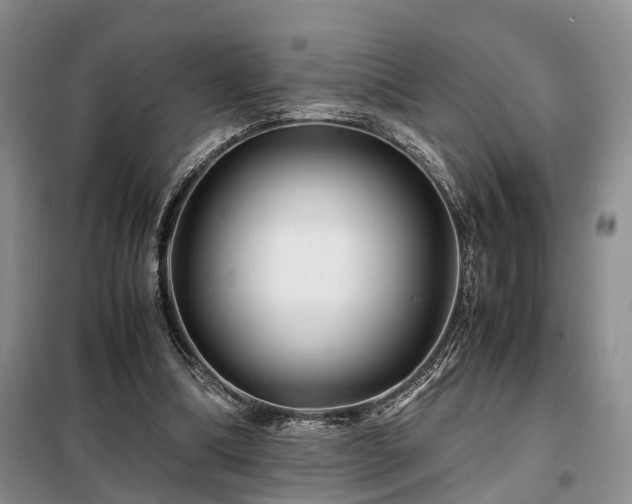 X0000099290298200805090937