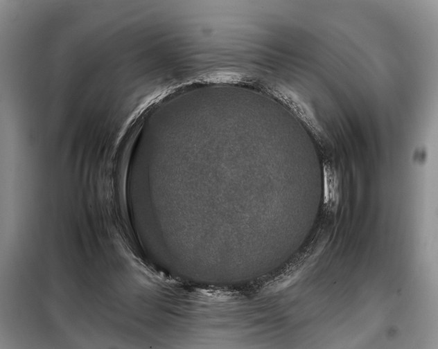 X0000099290300200805090937