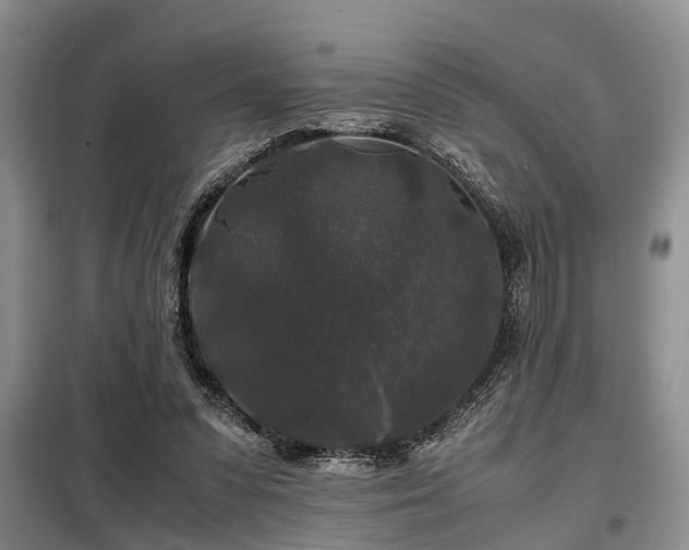 X0000099290303200805090937