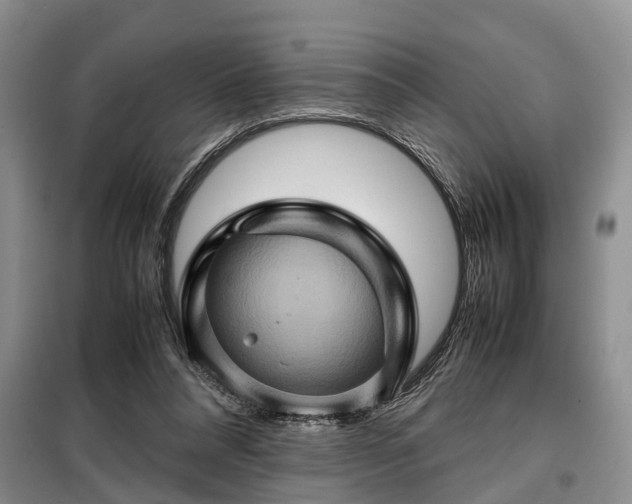 X0000099290304200805090937