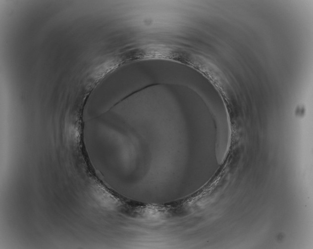 X0000099290305200805090937