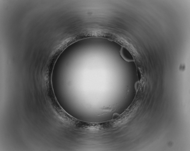 X0000099290306200805090937