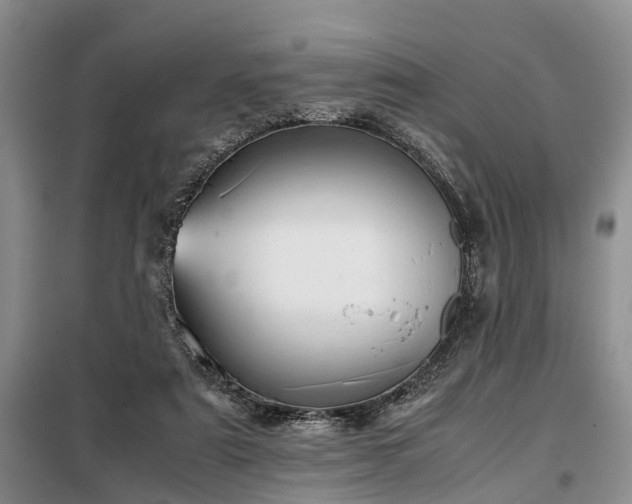 X0000099290307200805090937