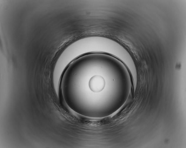 X0000099290308200805090937