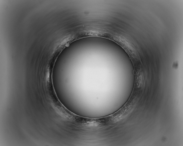 X0000099290310200805090937