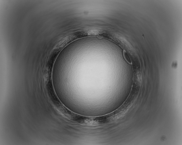 X0000099290311200805090937