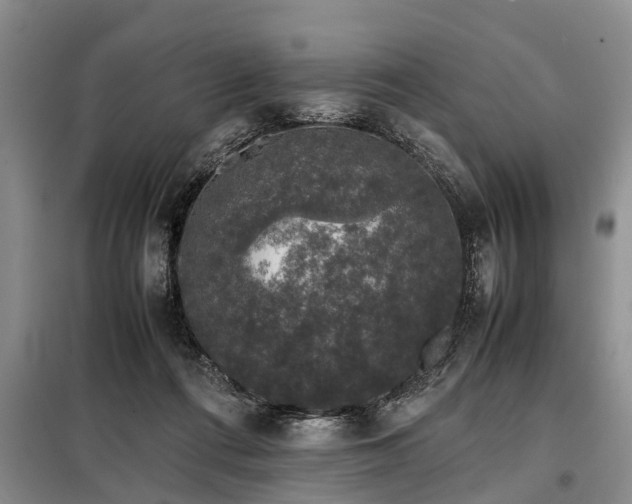 X0000099290312200805090937