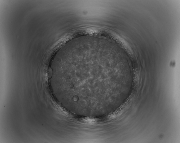 X0000099290313200805090937