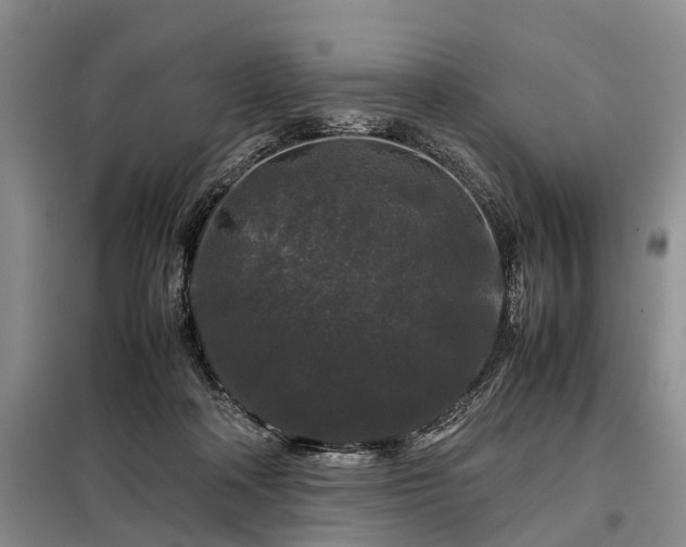 X0000099290314200805090937