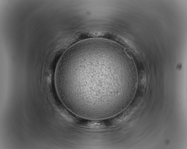 X0000099290315200805090937