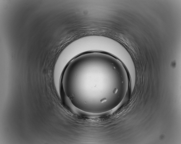 X0000099290317200805090937