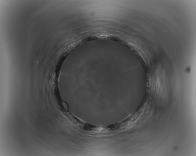 X0000099290319200805090937