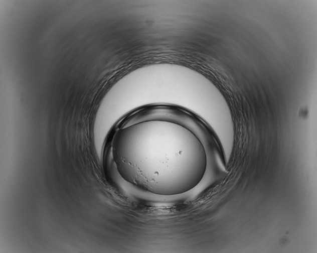 X0000099290320200805090937