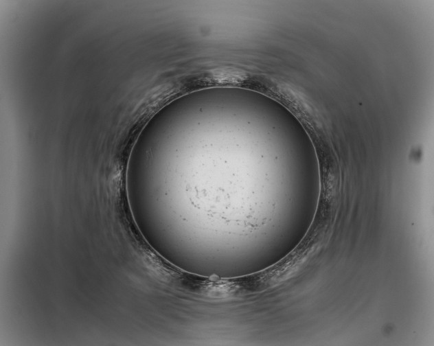 X0000099290321200805090937