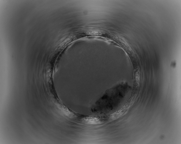 X0000099290322200805090936