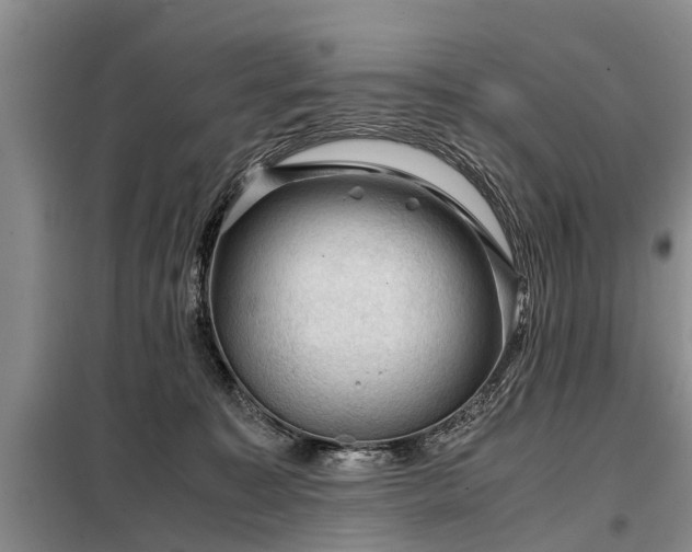 X0000099290323200805090936