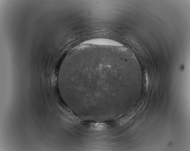 X0000099290324200805090936