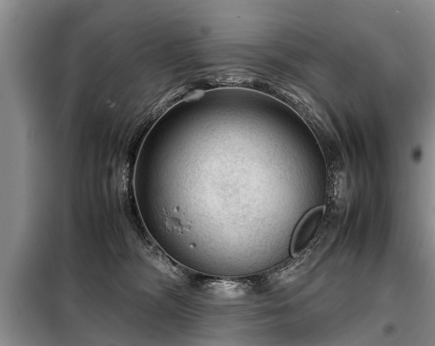 X0000099290326200805090936