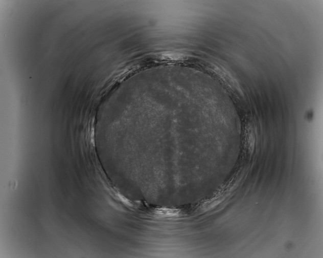 X0000099290328200805090936