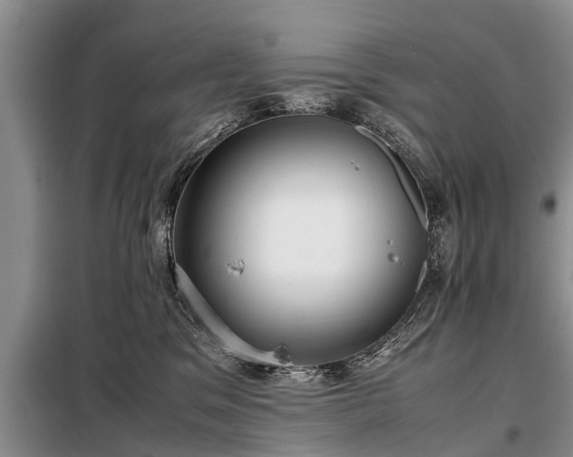 X0000099290329200805090936