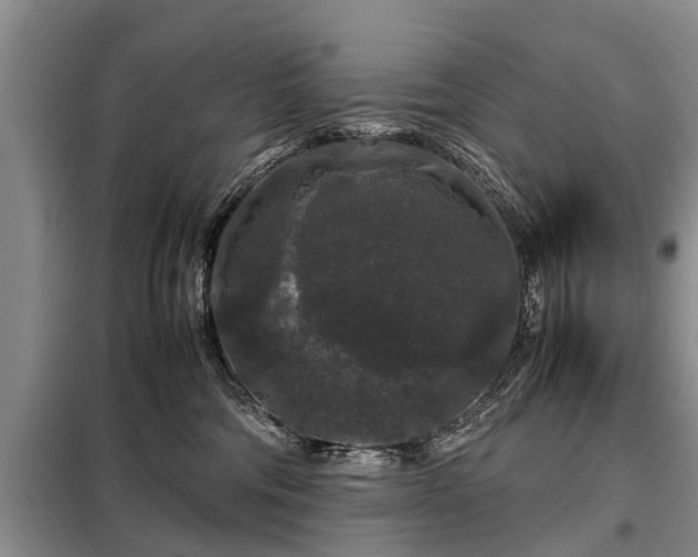 X0000099290330200805090936