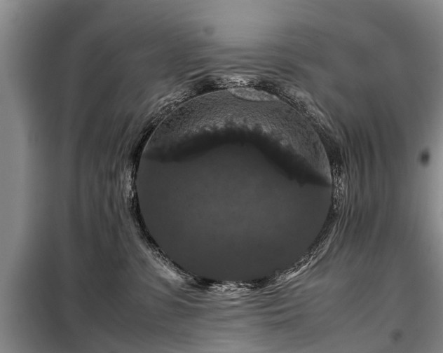 X0000099290331200805090936