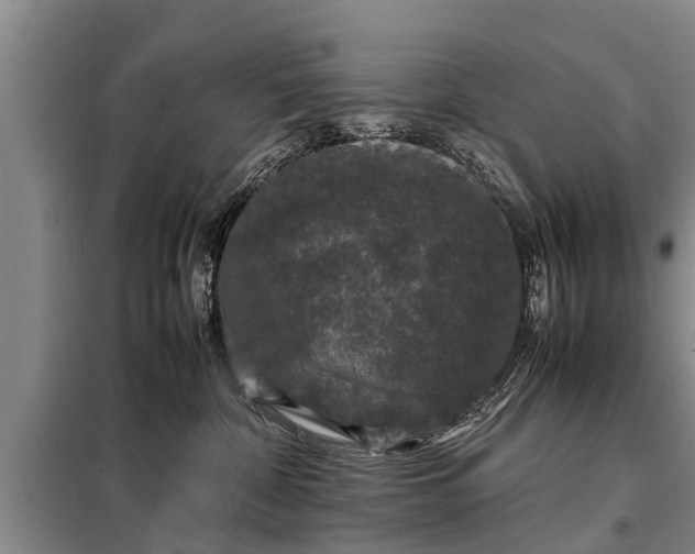 X0000099290332200805090936