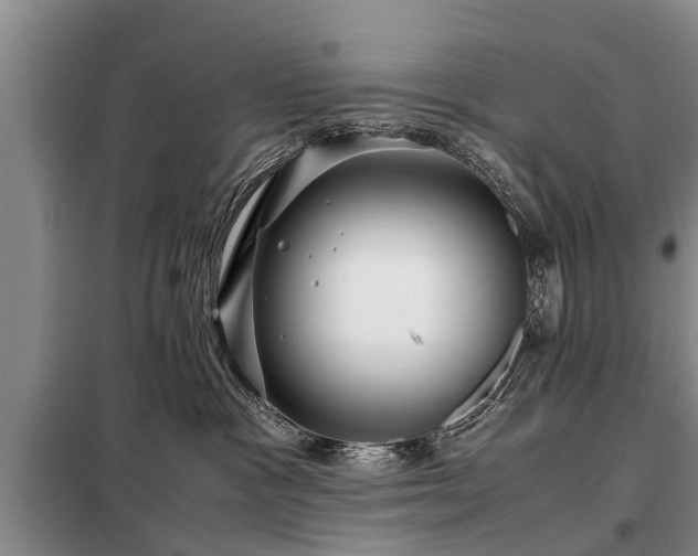 X0000099290333200805090936
