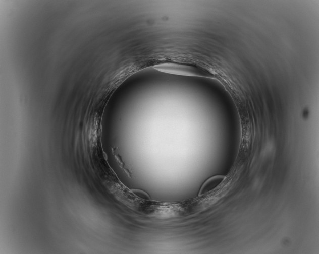 X0000099290334200805090936