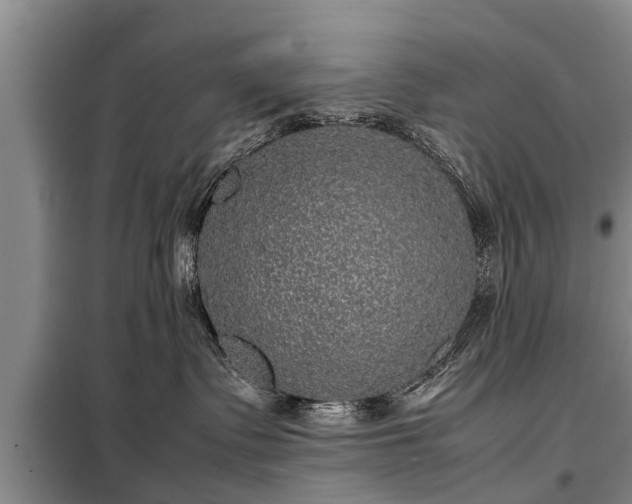 X0000099290335200805090936