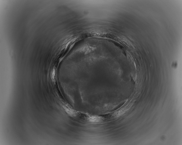 X0000099290336200805090936
