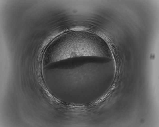 X0000099290337200805090936