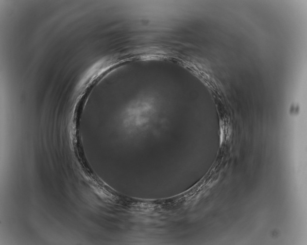 X0000099290339200805090936