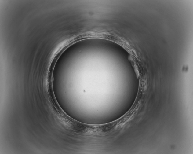 X0000099290340200805090936
