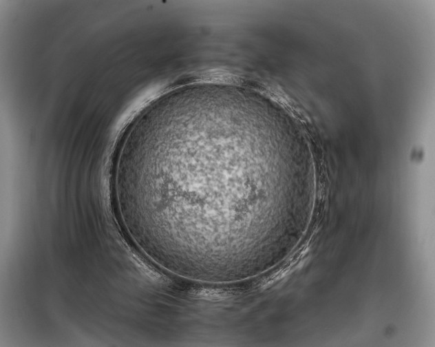 X0000099290341200805090936