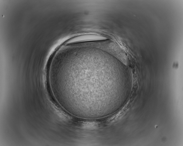 X0000099290342200805090936