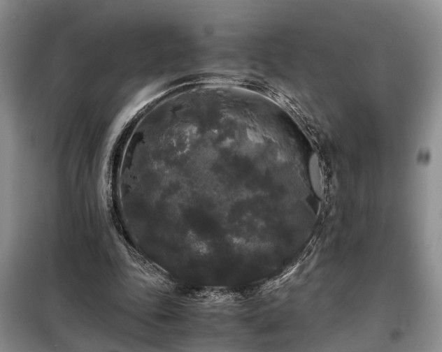 X0000099290343200805090936