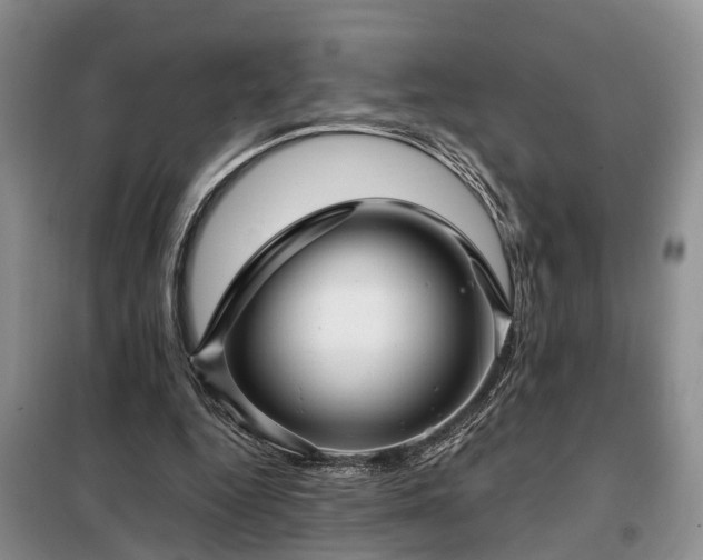 X0000099290344200805090936