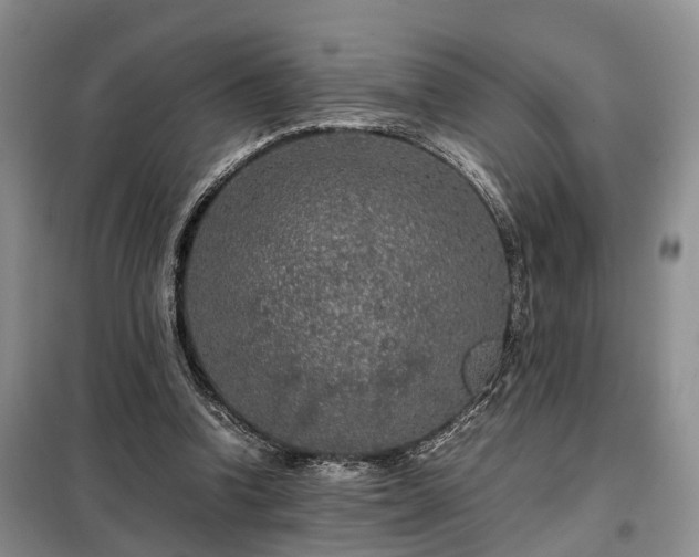 X0000099290346200805090936