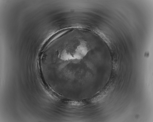 X0000099290347200805090936
