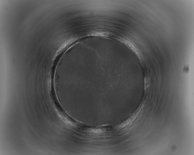 X0000099290349200805090936