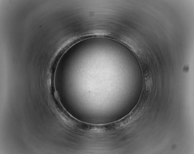 X0000099290350200805090936