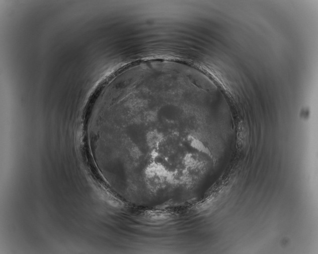 X0000099290351200805090936