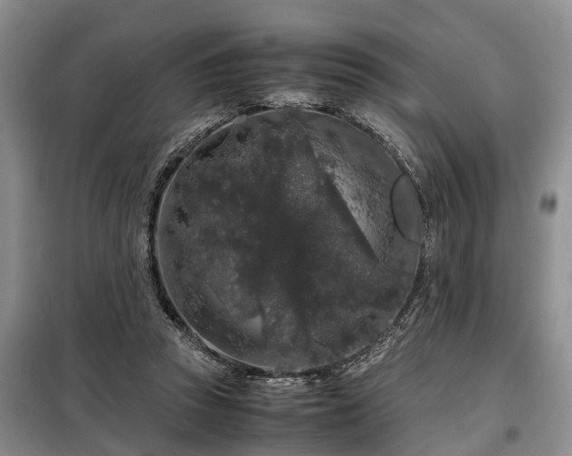 X0000099290353200805090936