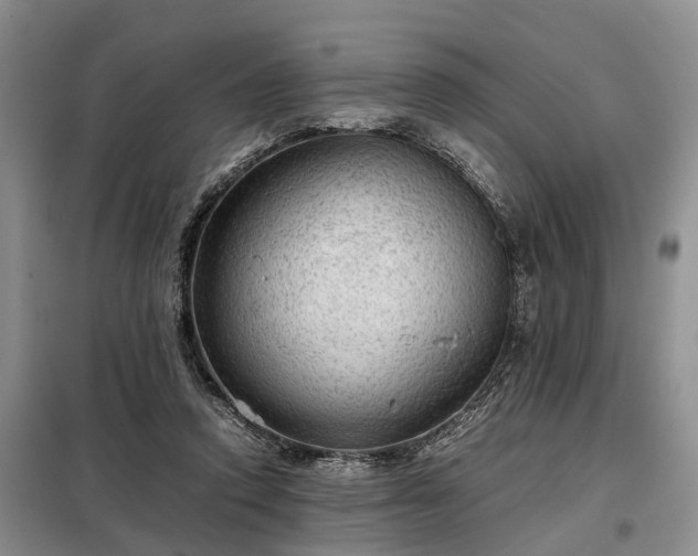 X0000099290354200805090936