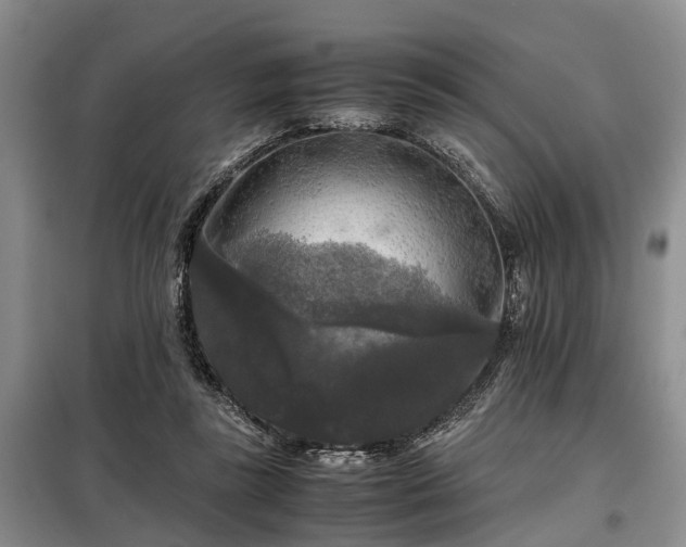 X0000099290355200805090936