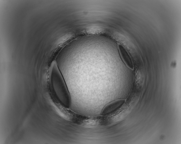 X0000099290356200805090936