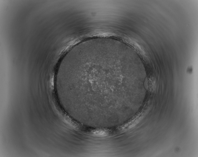 X0000099290358200805090936