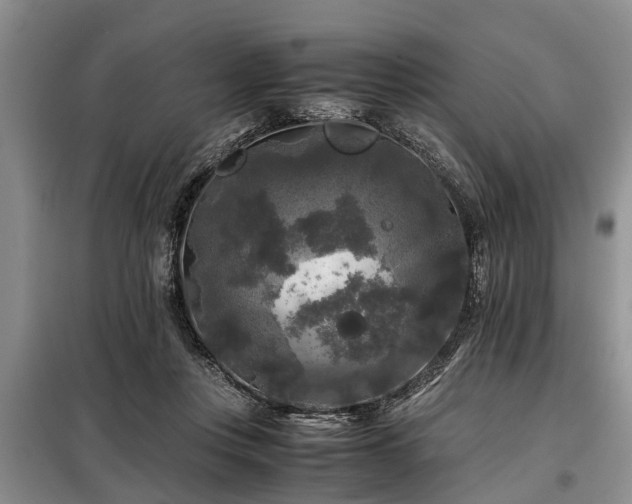 X0000099290359200805090936