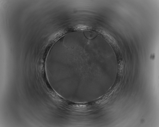 X0000099290361200805090936